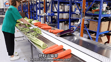 帶稱重貼標(biāo)打孔蔬菜包裝機